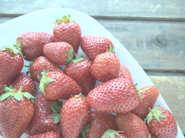 早餐店价目表图片