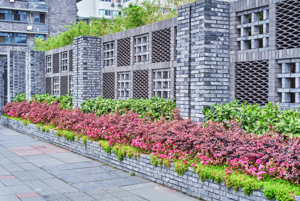 植物,叶子,中式庭院