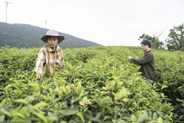 农民专业合作社