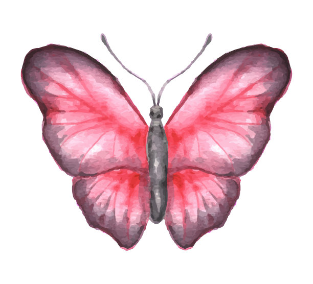 杂点虫子肌理纹