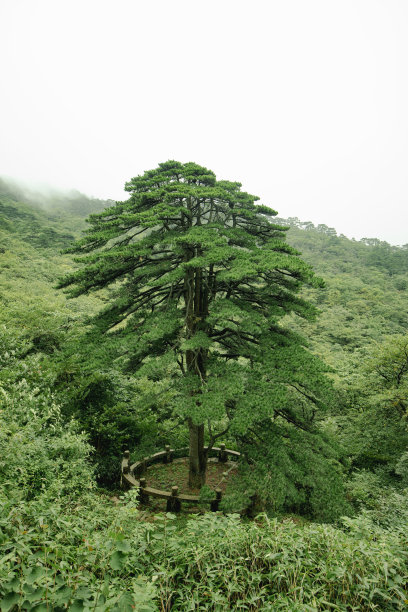 远山群山黄山绿水青山