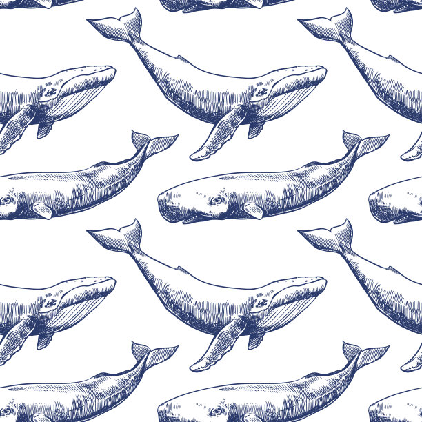 海洋鲸鱼印花海底世界插画图案