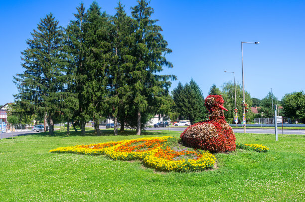 孔雀植物雕塑