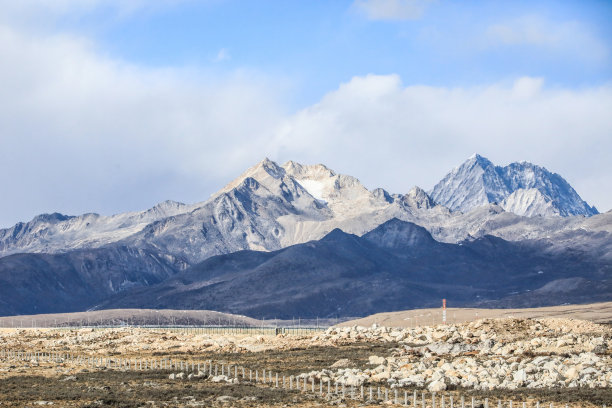 马岩松