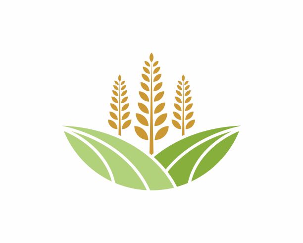 企业logo稻穗