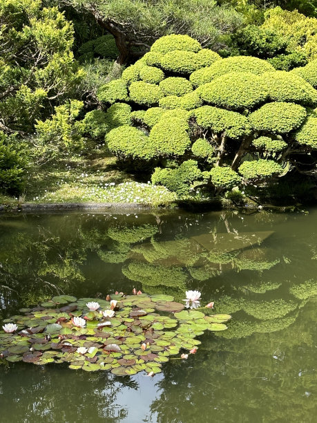 植物园摩天轮