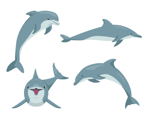 可爱鲸鱼卡通形象