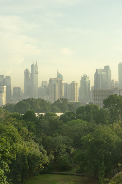 现代玻璃幕墙高楼与绿树