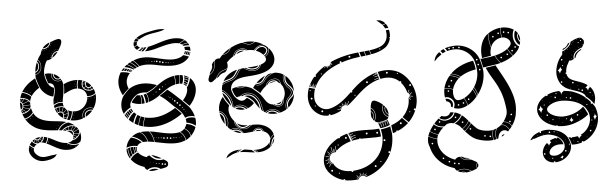 眼镜蛇,蝰蛇,水蟒