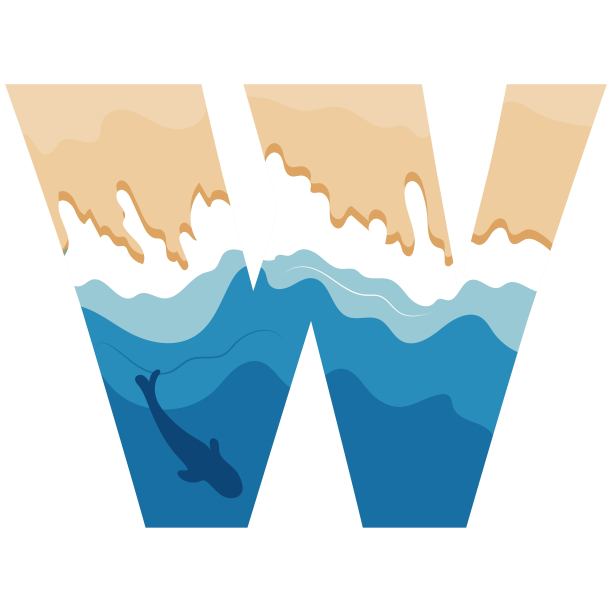 w大海logo