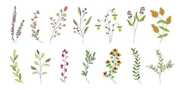 春节春分贴图