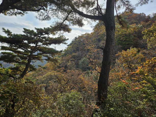 森林公园登山道