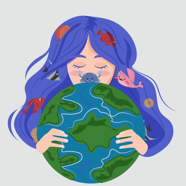 青蟹插画