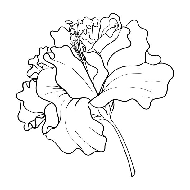 植物精油绿叶logo