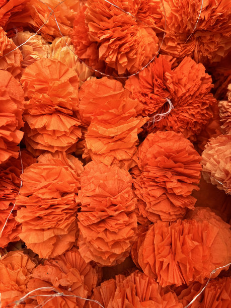 橙色纸花