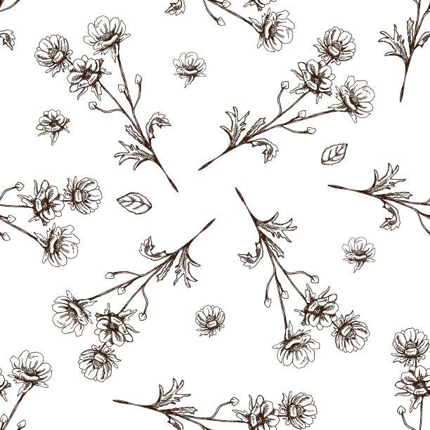 黑白花卉植物叶子连续图案