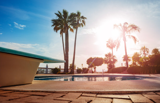 泳池边,日光浴,棕榈树