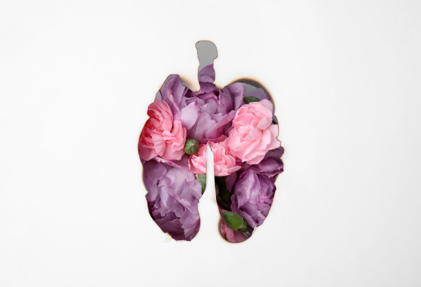 肺部构造