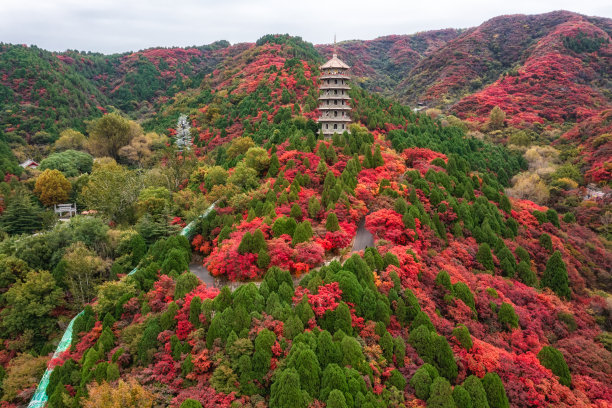 泰山图