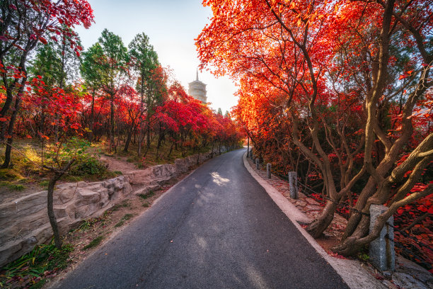 秋天的泰山