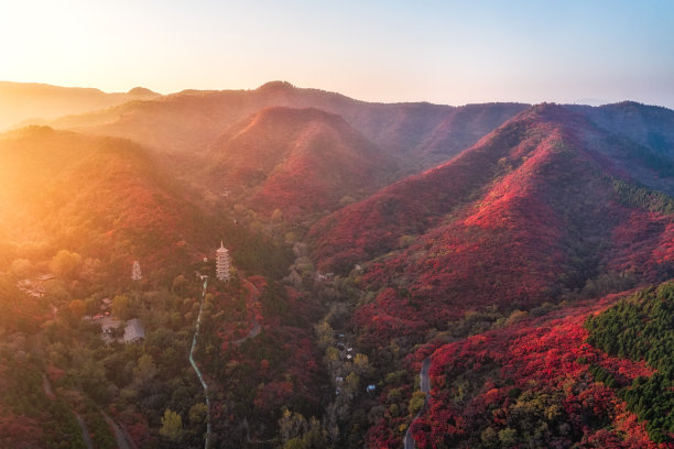 泰山图