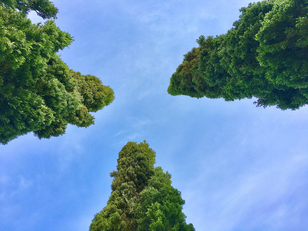 自然,中东,风景
