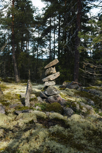 斯堪的纳维亚半岛,地衣,平衡