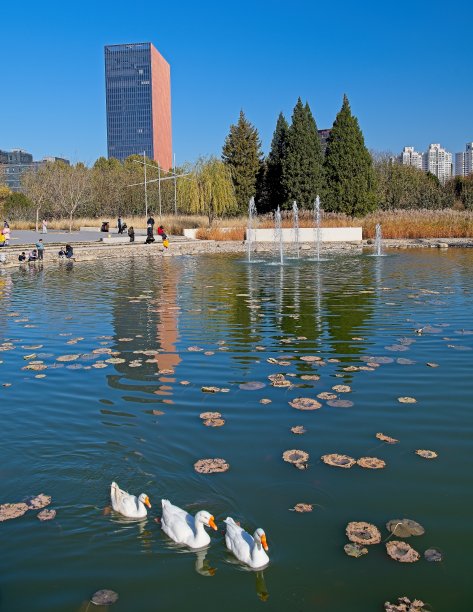 北京石景山区背景