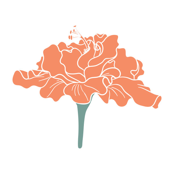 植物精油绿叶logo