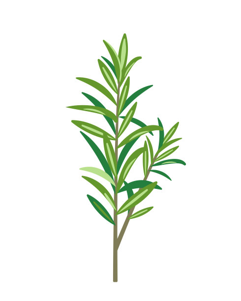 植物精油植物logo