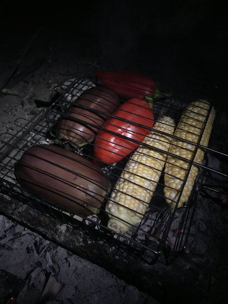 夜晚野炊的美味佳肴