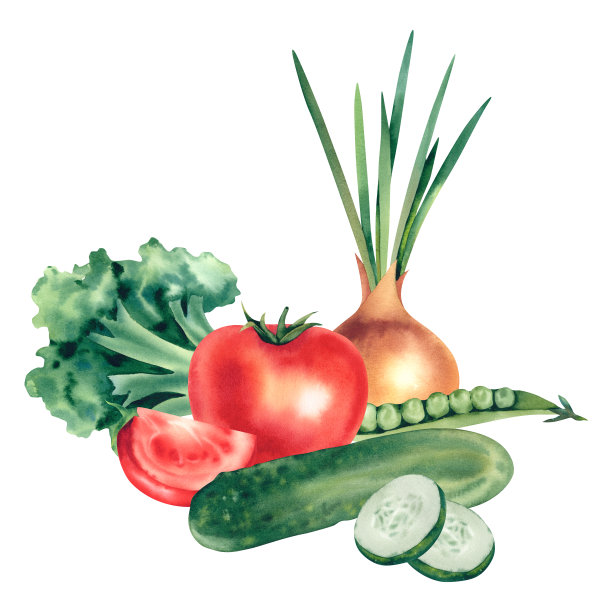 白菜蔬菜高清作品