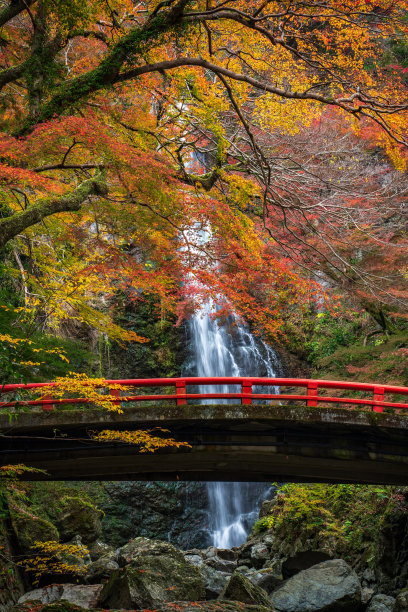 瀑布,秋景,红叶,枫树,流水