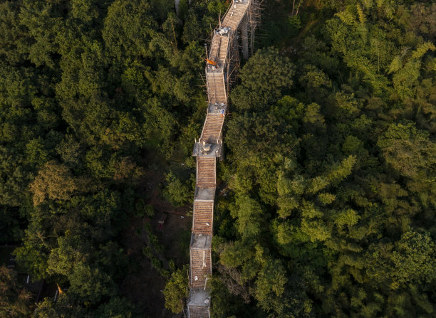 林规划