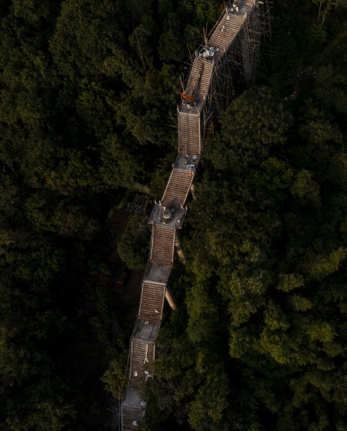 林规划