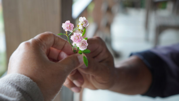 粉色情侣玫瑰鲜花浪漫情人节海报