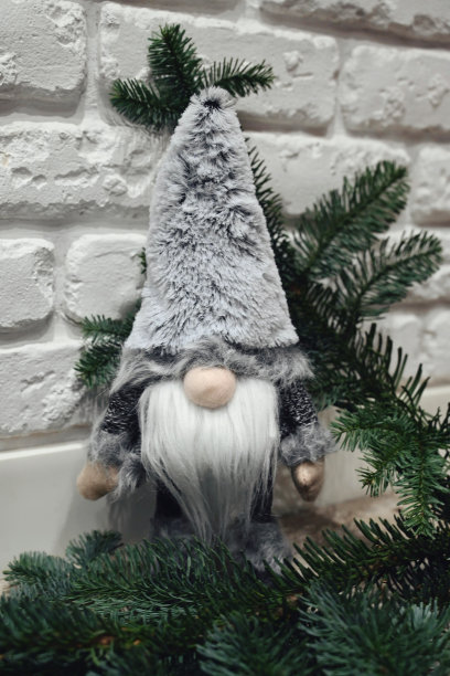 圣诞帽,圣诞树,纯种犬