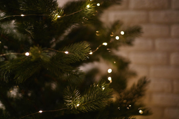 圣诞树,圣诞装饰,圣诞装饰物