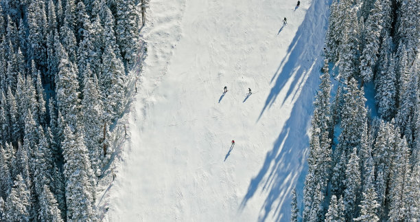 林间滑雪