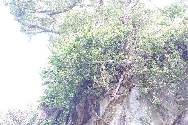 大山里的寺院