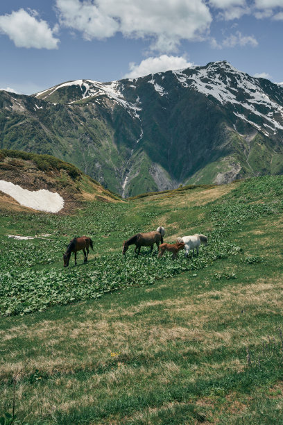 马岩松