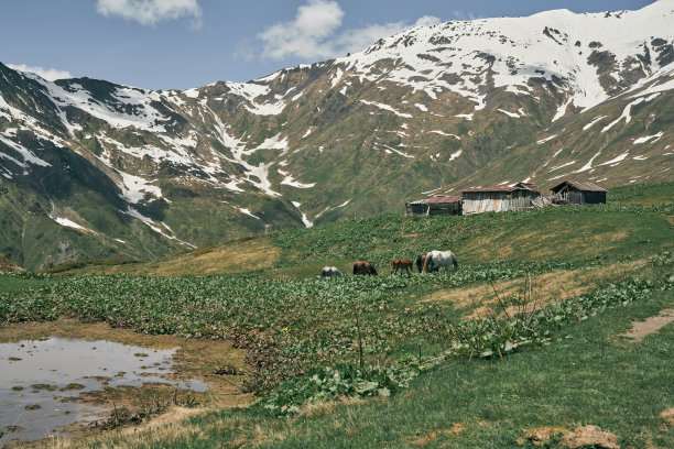 马岩松