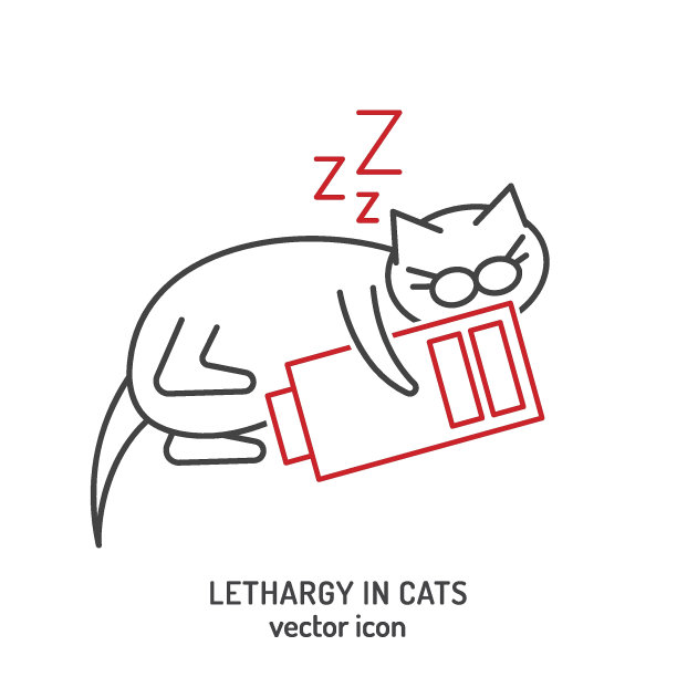懒猫logo