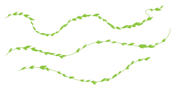 树枝藤蔓元素设计
