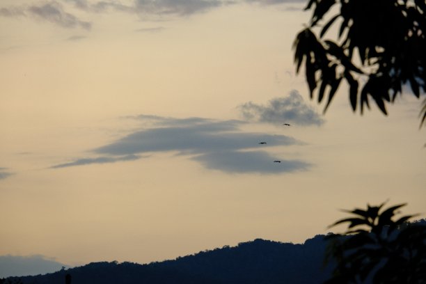 云海白云蓝色天空动漫背景