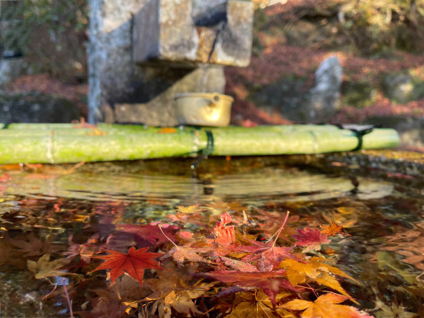 郊野温泉