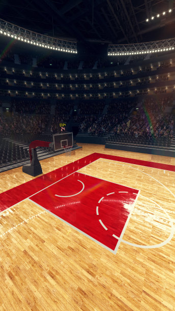 篮球场3d效果图