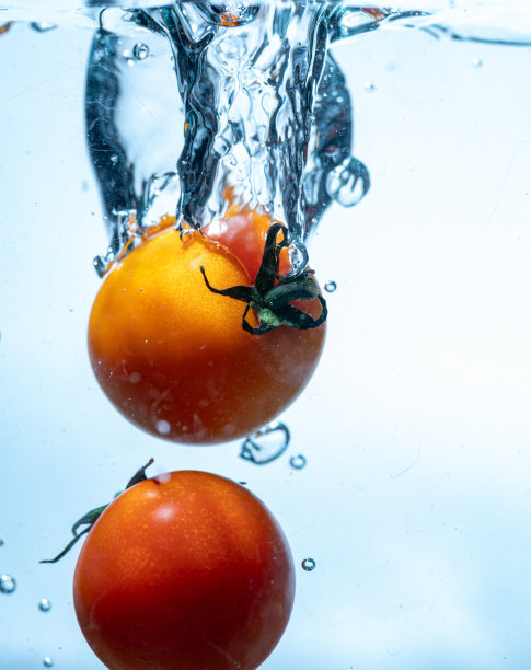 水中番茄高清图