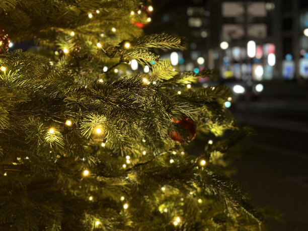 圣诞小彩灯,柏林中部,圣诞树