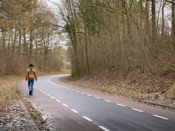 活力步调欢快向前跑